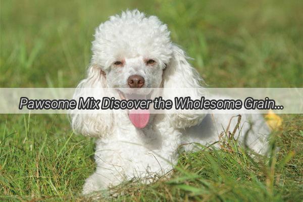 Pawsome Mix Discover the Wholesome Grains That Fuel Your Furry Friends Health